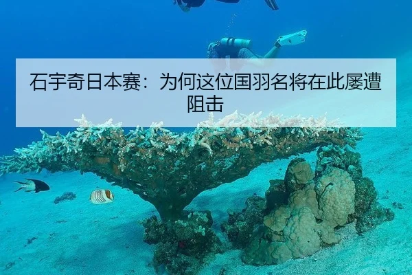 石宇奇日本赛：为何这位国羽名将在此屡遭阻击